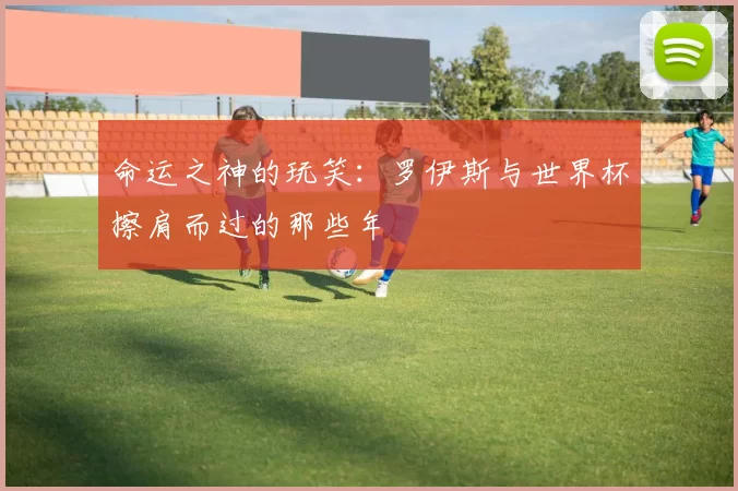 命运之神的玩笑:罗伊斯与世界杯擦肩而过的那些年