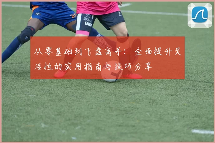从零基础到飞盘高手：全面提升灵活性的实用指南与技巧分享
