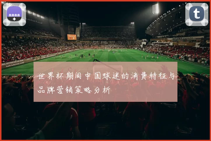世界杯期间中国球迷的消费特征与品牌营销策略分析