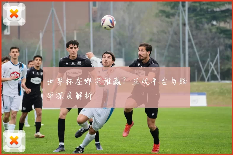 世界杯在哪买谁赢?正规平台与赔率深度解析