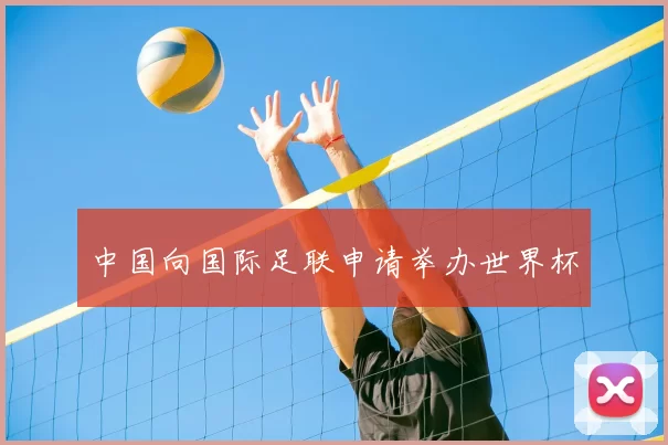 中国向国际足联申请举办世界杯
