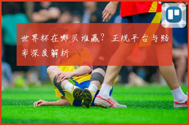 世界杯在哪买谁赢?正规平台与赔率深度解析