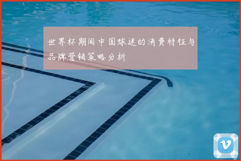 世界杯期间中国球迷的消费特征与品牌营销策略分析