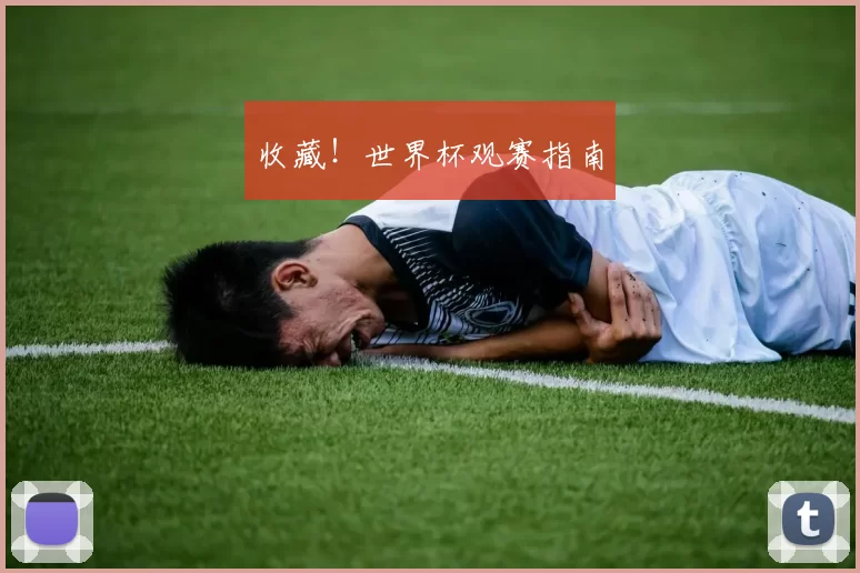 收藏!世界杯观赛指南