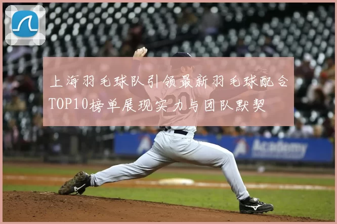 上海羽毛球队引领最新羽毛球配合TOP10榜单展现实力与团队默契