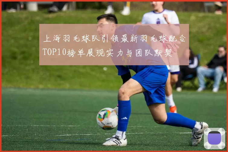 上海羽毛球队引领最新羽毛球配合TOP10榜单展现实力与团队默契