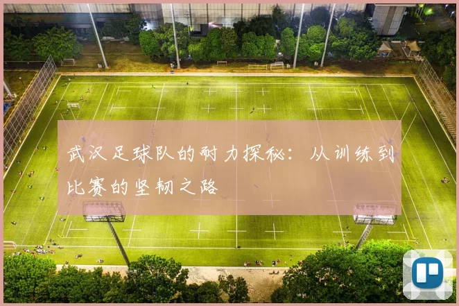 武汉足球队的耐力探秘：从训练到比赛的坚韧之路