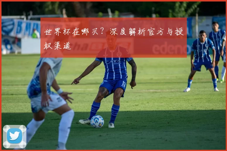 世界杯在哪买?深度解析官方与授权渠道