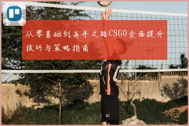 从零基础到高手之路CSGO全面提升技巧与策略指南